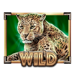 Wild Symbol of Savanna Roar Slot