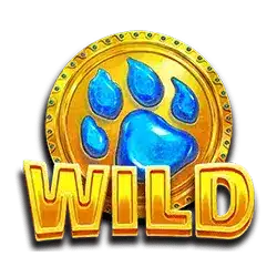 Символ Wild