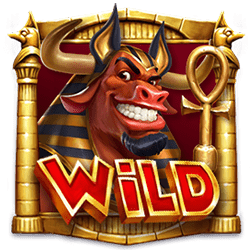 Wild-символ игрового автомата Book of Toro
