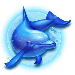 Icon 1 Dolphin Queen