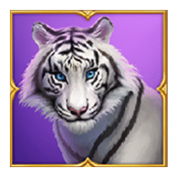 Icon 3 Tiger Tiger Wild Life