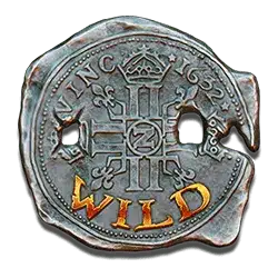 Wild символ