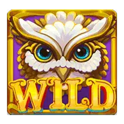 Wild-символ