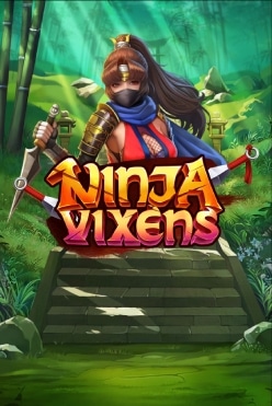 Играть в Ninja Vixens онлайн бесплатно