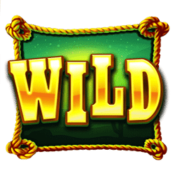 Wild Symbol of Bounty Gold Slot