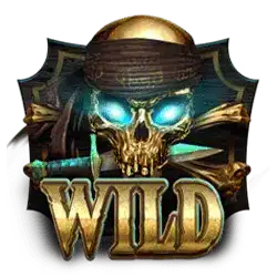 Wild Symbol of Age Of Pirates Slot