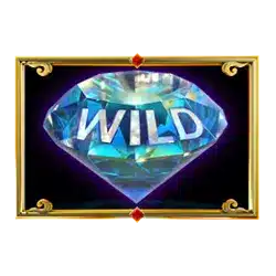 Символ Wild