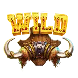 Символ Wild
