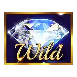 Символ Wild