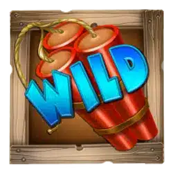 Символ Wild