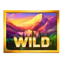 Символ Wild