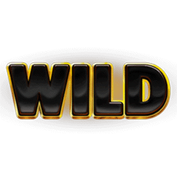 Wild Symbol of 3 Coins Hold and Win Slot