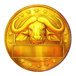 Icon 10 Buffalo Hold and Win