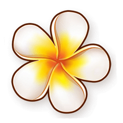 Icon 5 Aloha Spirit XtraLock