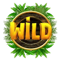 Символ Wild
