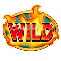 Символ Wild
