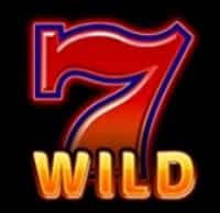 Символ WILD