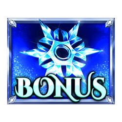 Bonus of Queen Of Ice Expanded Edition Slot