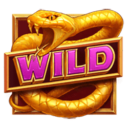 Wild Symbol of Desert Riches Slot