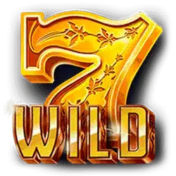 Символ Wild