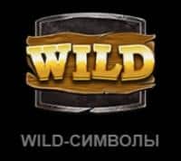 Wild-символы
