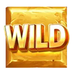 Символ Wild