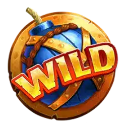 Символ Wild