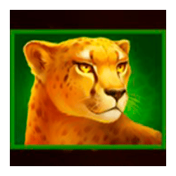 Символ4 слота Lion Gems Hold and Win