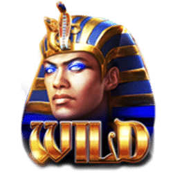 Wild Symbol of Times of Egypt – Pharaoh’s Reign Slot