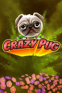 Играть в Crazy Pug онлайн бесплатно