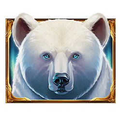 Icon 1 Mystic Bear XtraHold