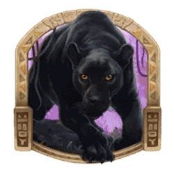 Wild Symbol of Mystic Panther Treasures of the Wild Slot