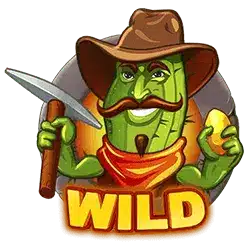 Wild символ