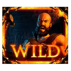 Символ Wild