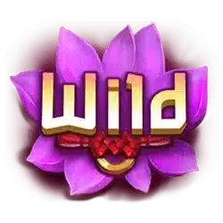 Wild символ