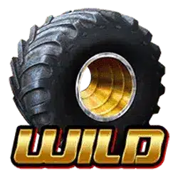 Символ Wild
