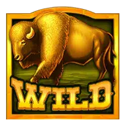 Wild символ