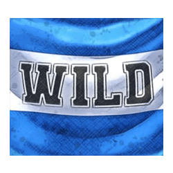 Wild Symbol of D10S Maradona Slot