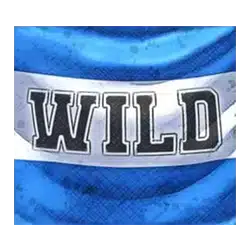 Символ WIld