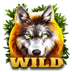 Wild Symbol of Wolf Fang – Deep Forest Slot