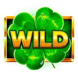 Wild Symbol of Amigo Wild Luck Slot