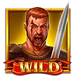 Wild символ