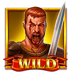 Wild-символ игрового автомата Arena Pin Win