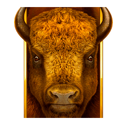Wild Symbol of Buffalo Coin: Hold The Spin Slot