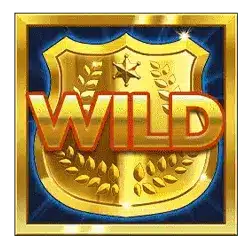 Символ Wild