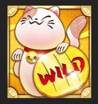 Символ Wild