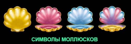 Символы моллюсков