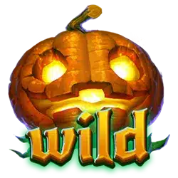 Символы Wild