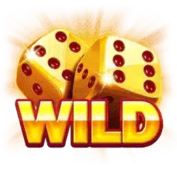 Символ Wild