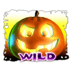 Символ WIld